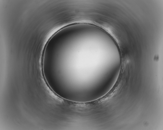 X0000091300959200708101305