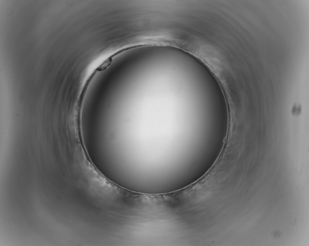 X0000091300960200708101305