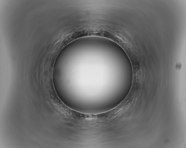 X0000091300961200708101304