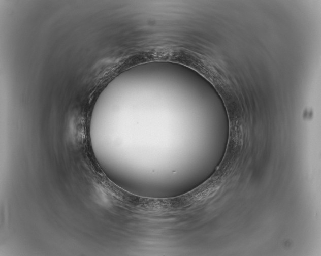 X0000091300962200708101304