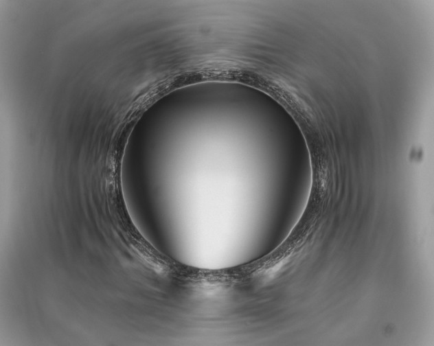 X0000091300964200708101304