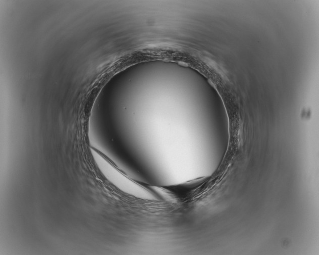X0000091300965200708101304