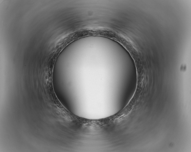 X0000091300966200708101304