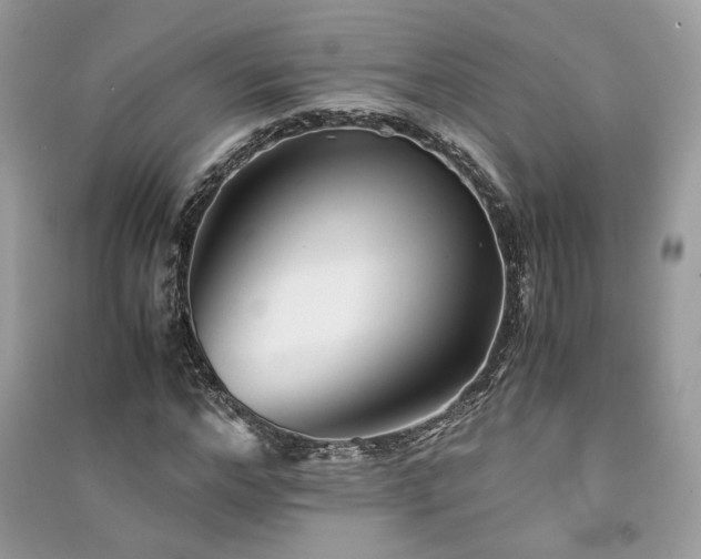X0000091300968200708101304