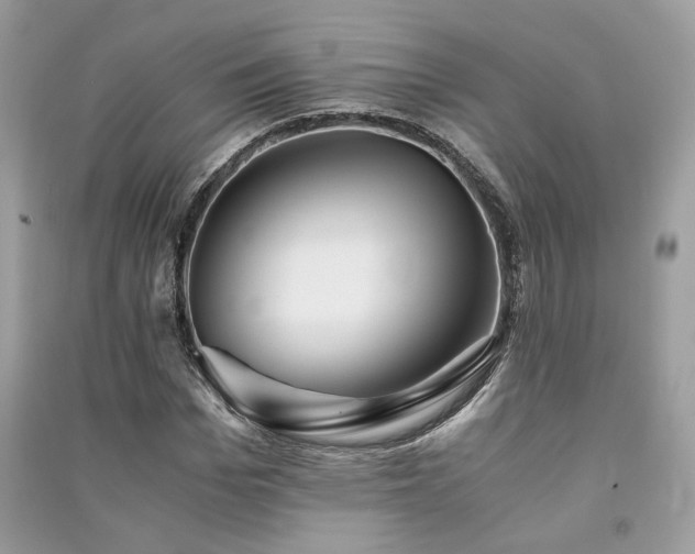 X0000091300969200708101304
