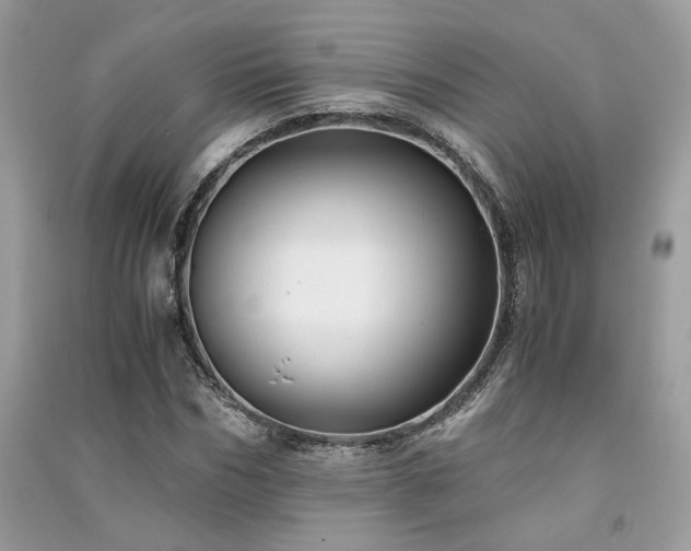 X0000091300970200708101304