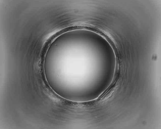 X0000091300971200708101304