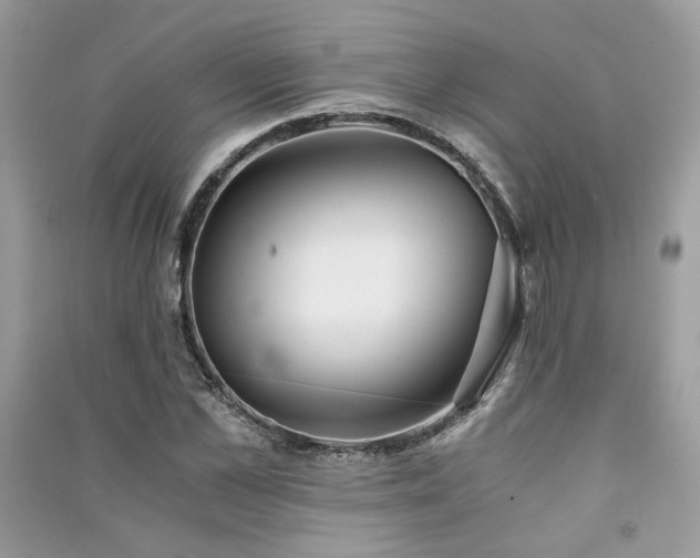 X0000091300973200708101304