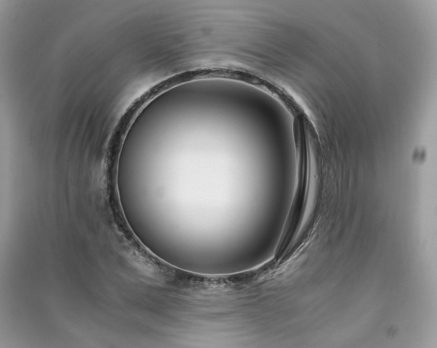 X0000091300975200708101304