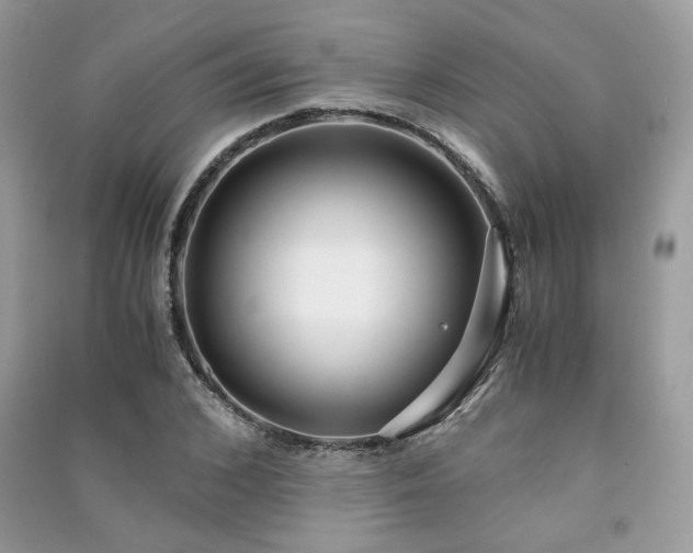 X0000091300976200708101304
