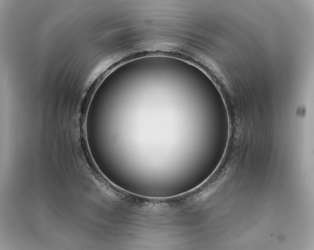 X0000091300978200708101304