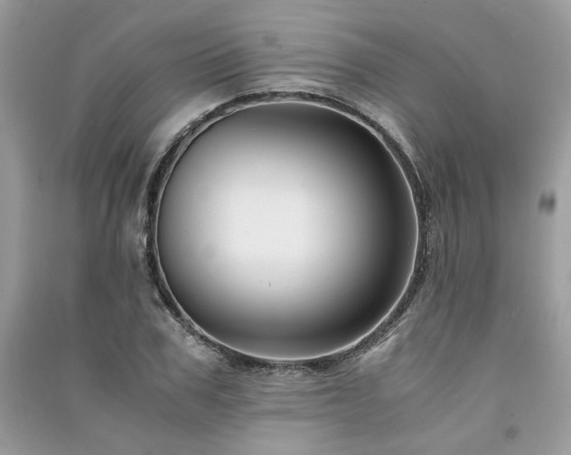X0000091300979200708101304