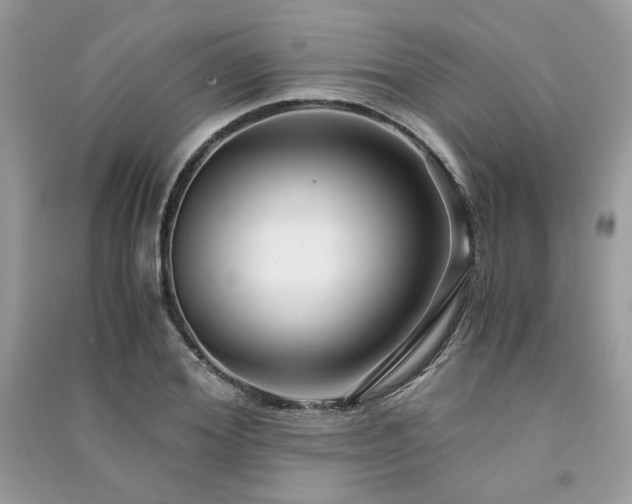 X0000091300980200708101304