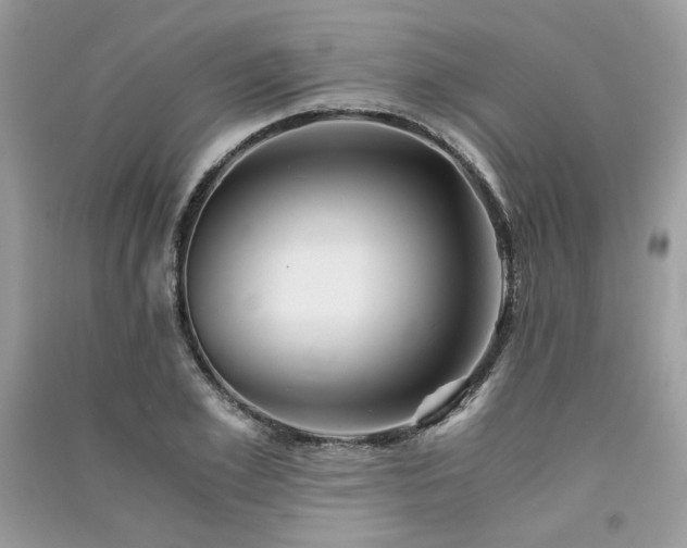 X0000091300981200708101304