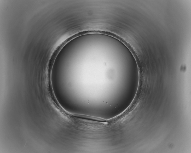 X0000091300982200708101304