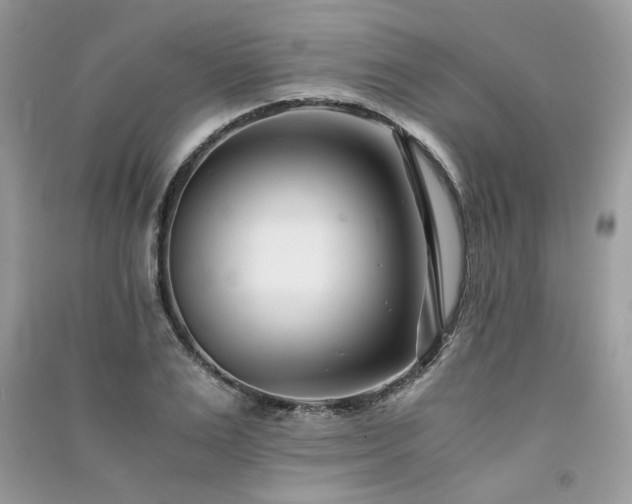 X0000091300983200708101304