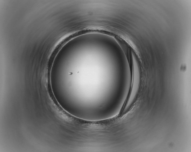 X0000091300984200708101304
