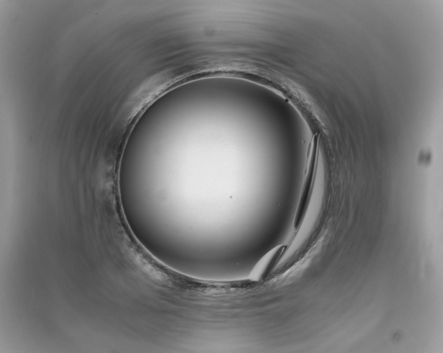 X0000091300985200708101304
