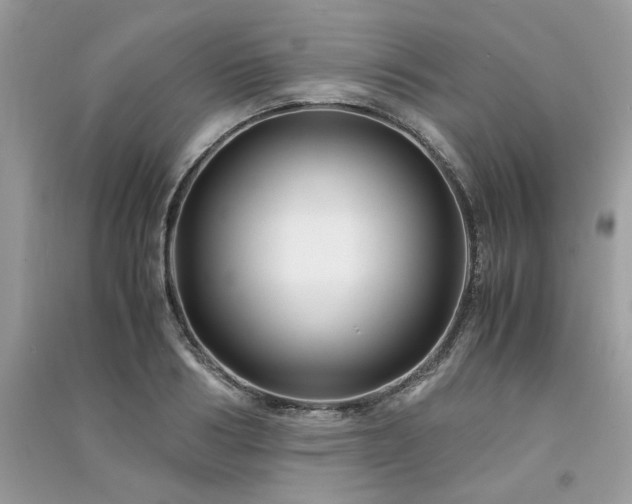 X0000091300986200708101304