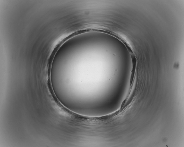 X0000091300987200708101304