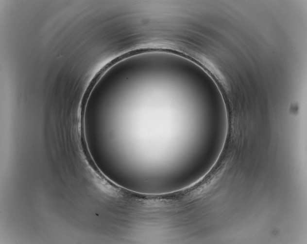 X0000091300988200708101304