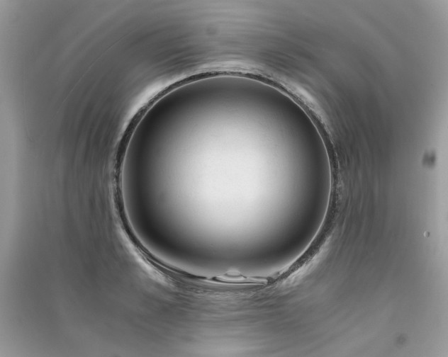X0000091300989200708101304