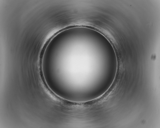X0000091300990200708101304