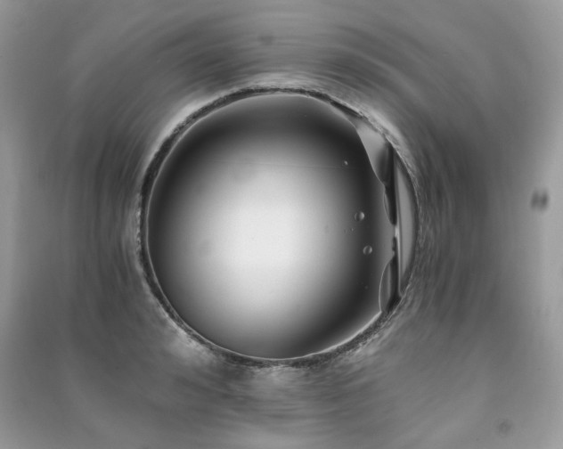 X0000091300992200708101304