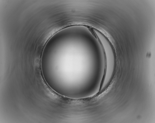 X0000091300993200708101304