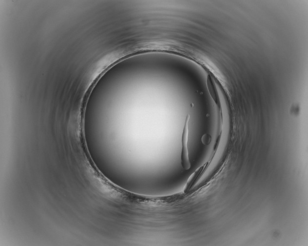 X0000091300994200708101304