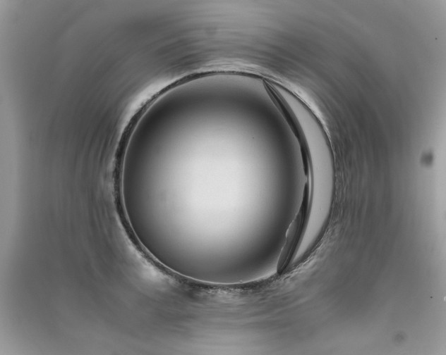 X0000091300995200708101304