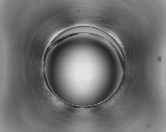 X0000091300996200708101304