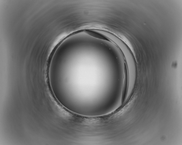 X0000091300997200708101304