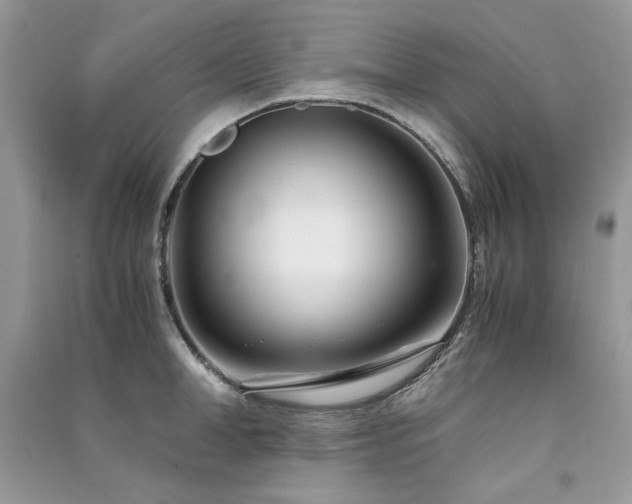 X0000091300998200708101304