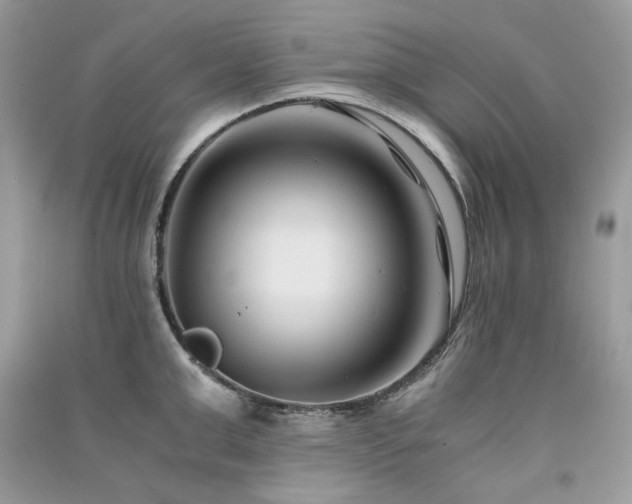 X0000091300999200708101304