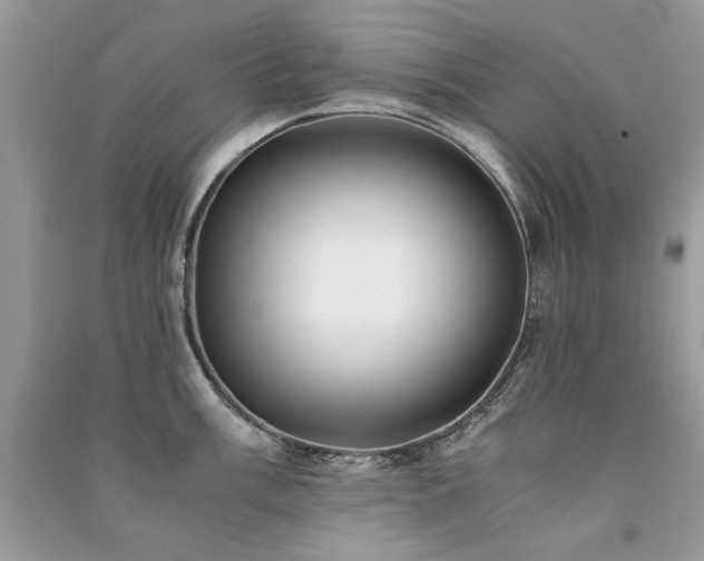 X0000091301003200708101304