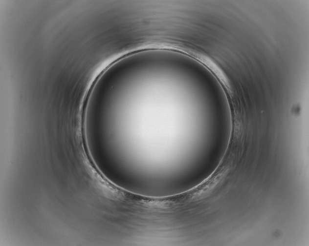 X0000091301004200708101304