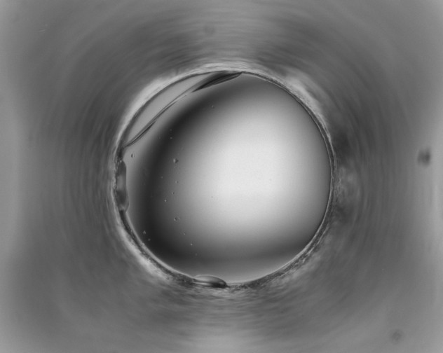 X0000091301005200708101304