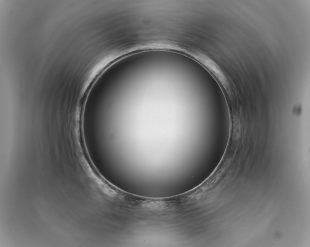 X0000091301006200708101304