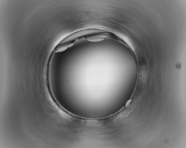 X0000091301007200708101304