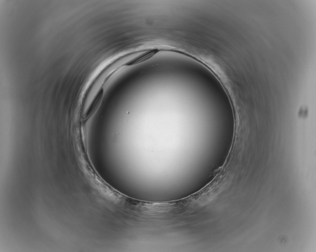X0000091301008200708101304