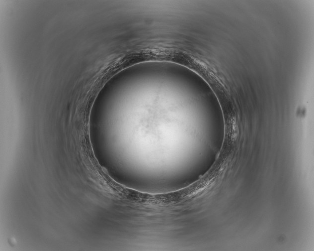 X0000091301009200708101303