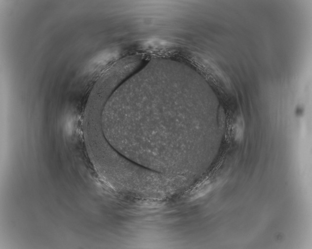 X0000091301010200708101303