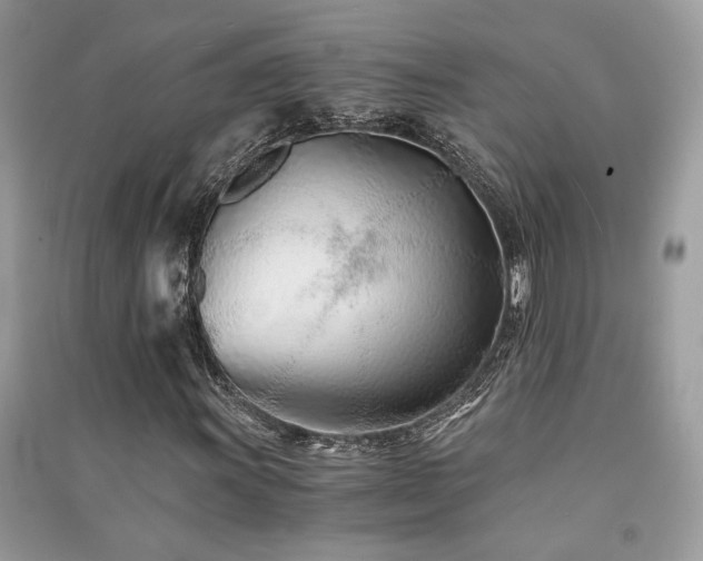 X0000091301011200708101303