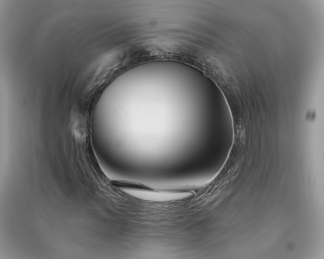 X0000091301012200708101303