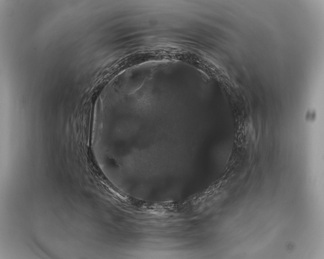 X0000091301013200708101303