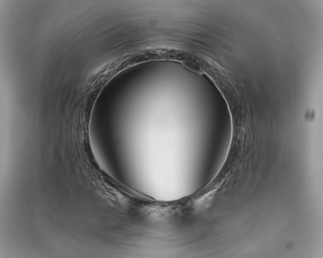 X0000091301014200708101303
