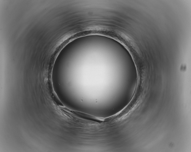 X0000091301017200708101303