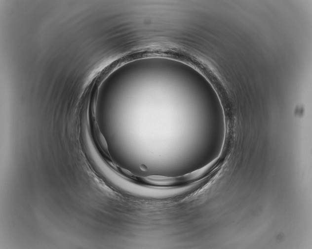 X0000091301018200708101303