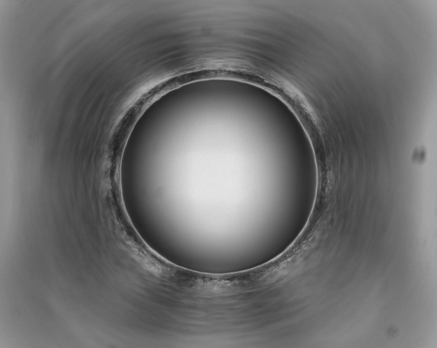 X0000091301019200708101303